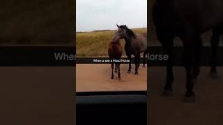 Meme Templates #23 - Dank and Funny Memes #tiktok #memes #shorts #tiktoks #meme