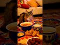 Cat's Iftar in Ramadan