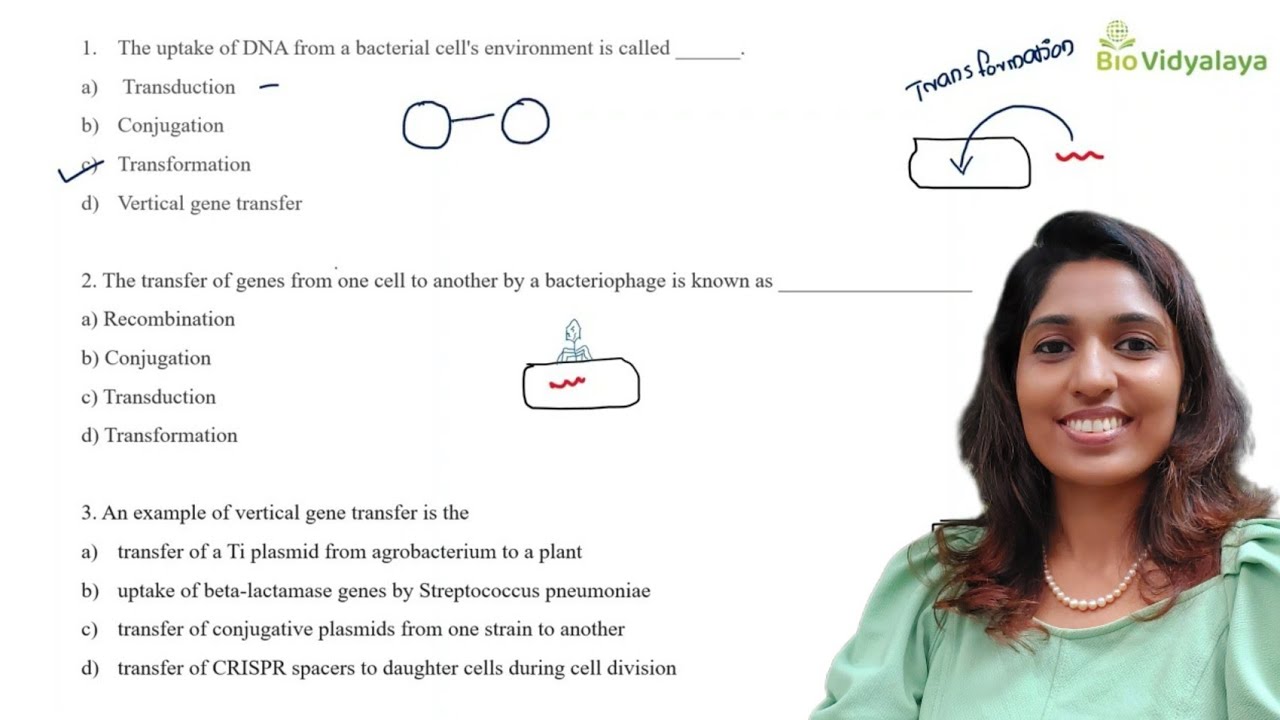 Which Component Of Cell Is Called Protein Factory Of The Cell