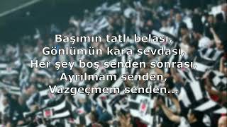 Beşiktaş Tezahüratları - Başımın Tatlı Belası