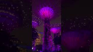 Gardenbythebay#night #garden #gardenbythebay