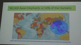 The Viable Systems Model and a Critical Futures Studies review of Indian elephant-human conflict