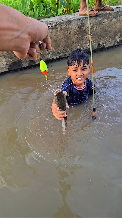fais mancing ikan lele #trendingshorts