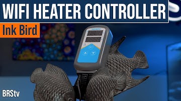 InkBird Wifi Aquarium Heater Controller: App Notifications; Dual Temp Probes and MORE!