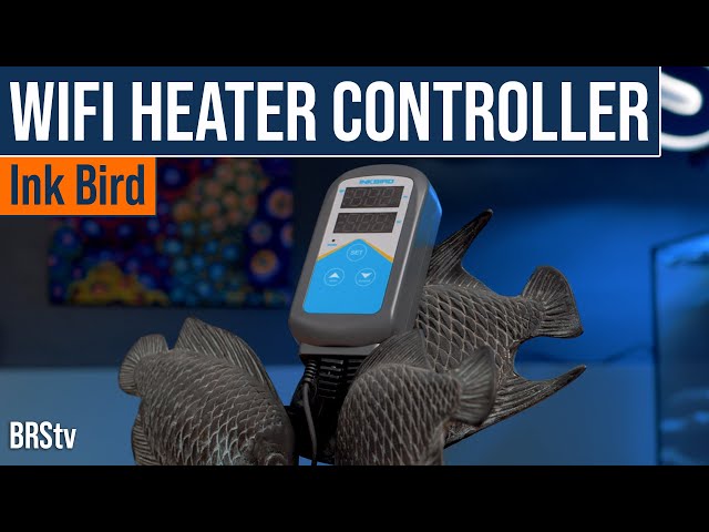 InkBird Wifi Aquarium Heater Controller: App Notifications; Dual Temp  Probes and MORE! - YouTube