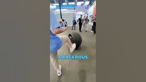 This Robot Will Replace the Police