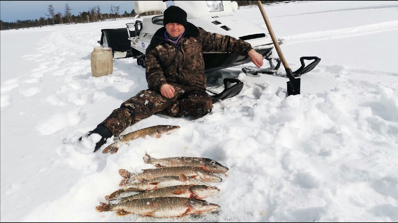 Жерлицы трещат от Щук. Не ожидали такого улова. Доработки Ямахи