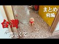 【台灣ひとり旅イッキ見❶】台灣中毒の台北旅全て見せます!また発作が‼︎心の栄養台灣へ。台灣の日常を感じるひとり旅