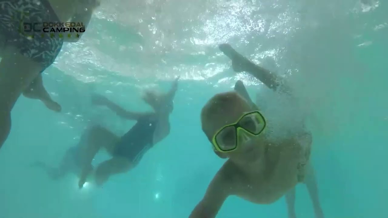 Dokkedal bannerforside