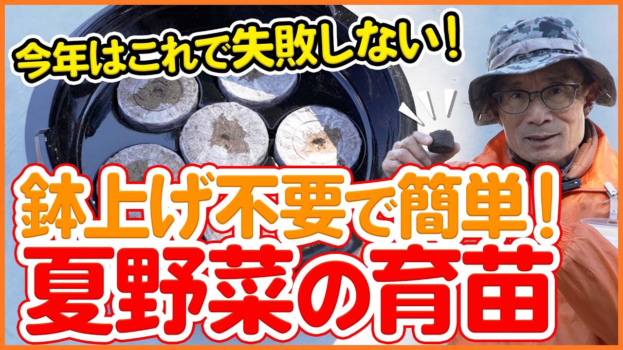 鉢上げ不要でカンタン！夏野菜の育苗を成功させるポイントを徹底解説！【シェア畑】【農園ライフ】
