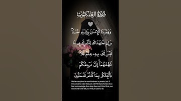 سورة العنكبوت ووصينا ألأنسان بوالديه حسنا وان جاهداك لتشرك بي ماليس لك به علم الاية ٨