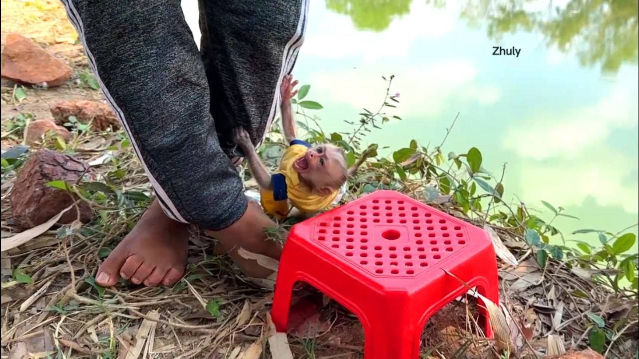 Super Mo0dy Zhuly Still Head Tra0ma After Fall On Rock