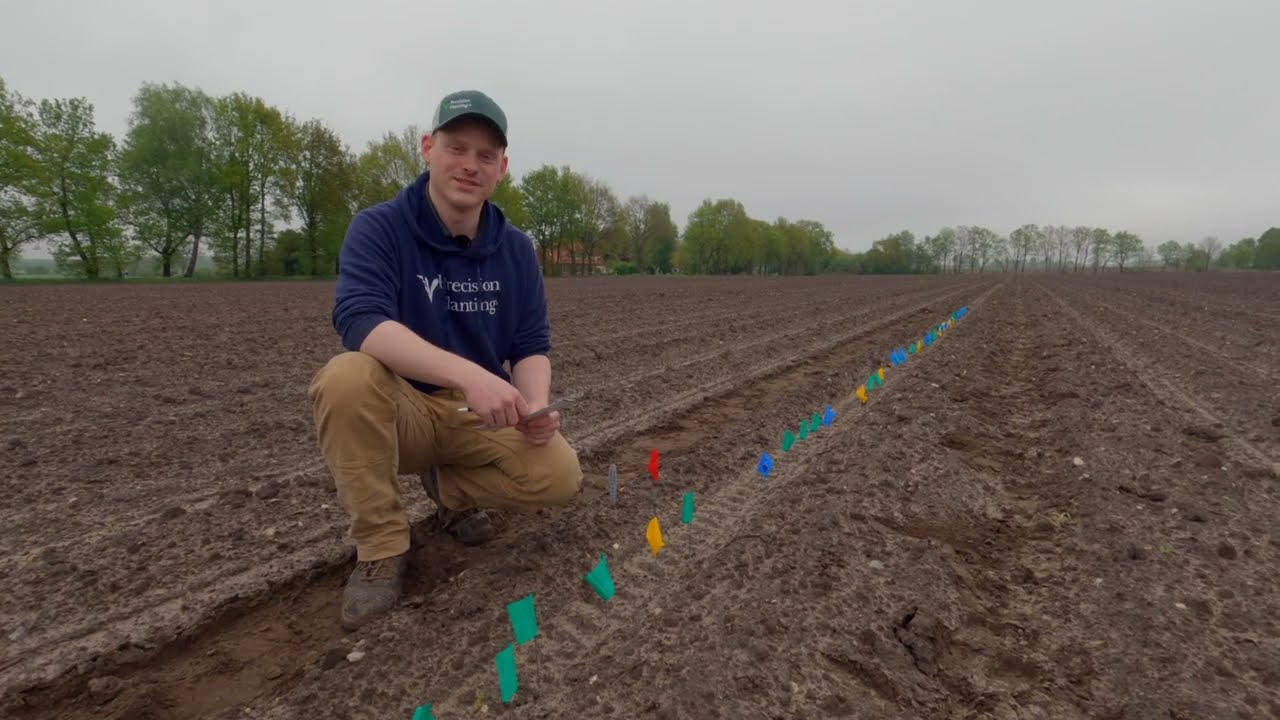 Praktische Anleitung für das Flaggenset zur Bonitur des Feldaufgangs - Precision Planting DE