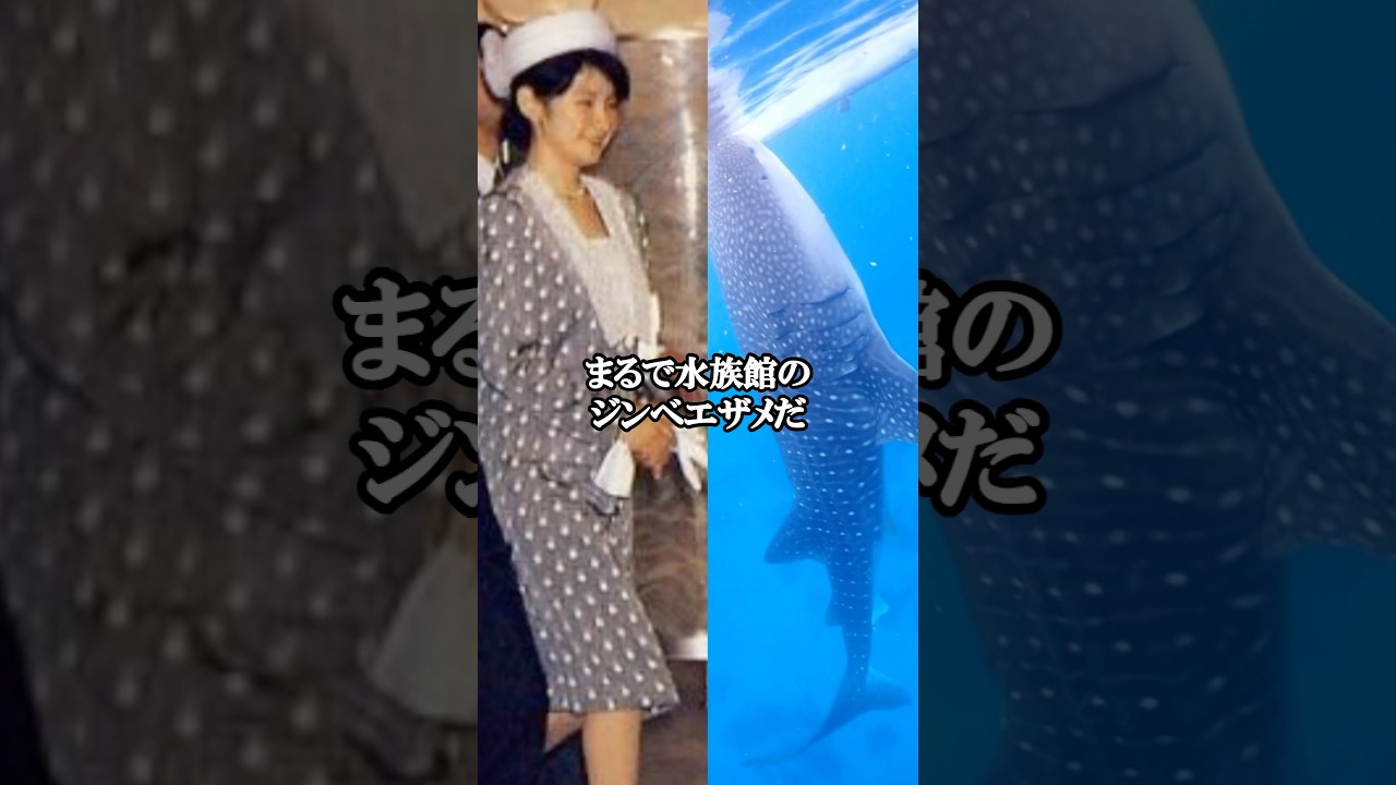 ❀ きこ様 ご確認ページです ㊗️200,000 views🎉 Princess Kiko's nonsensical patterned clothing