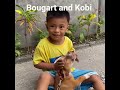 #shorts #pets #kids #viral