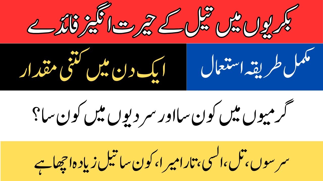 بکریوں میں تیل کے حیرت انگیز فائدے۔ مکمل تفصیل