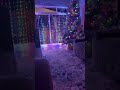 ✨ LED Modeling Lamp – Romantic Curtain Light for Bedroom &amp; Home Decor ✨ #shorts