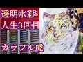 カラフルな虎を描く透明水彩挑戦4th！【初心者水彩画】【未経験】 #動物イラスト