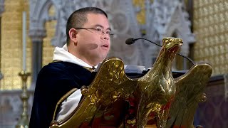 Cleansing Heat of Purgatory: Homily by Fr Lawrence Lew OP. A Day With Mary