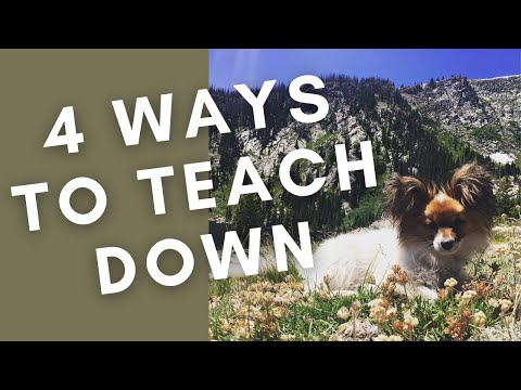 4 Ways to