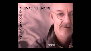 Thomas Fehlmann - the good fridge mix part III