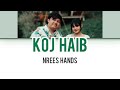 Koj haib  nrees hands lyrics  hmong song