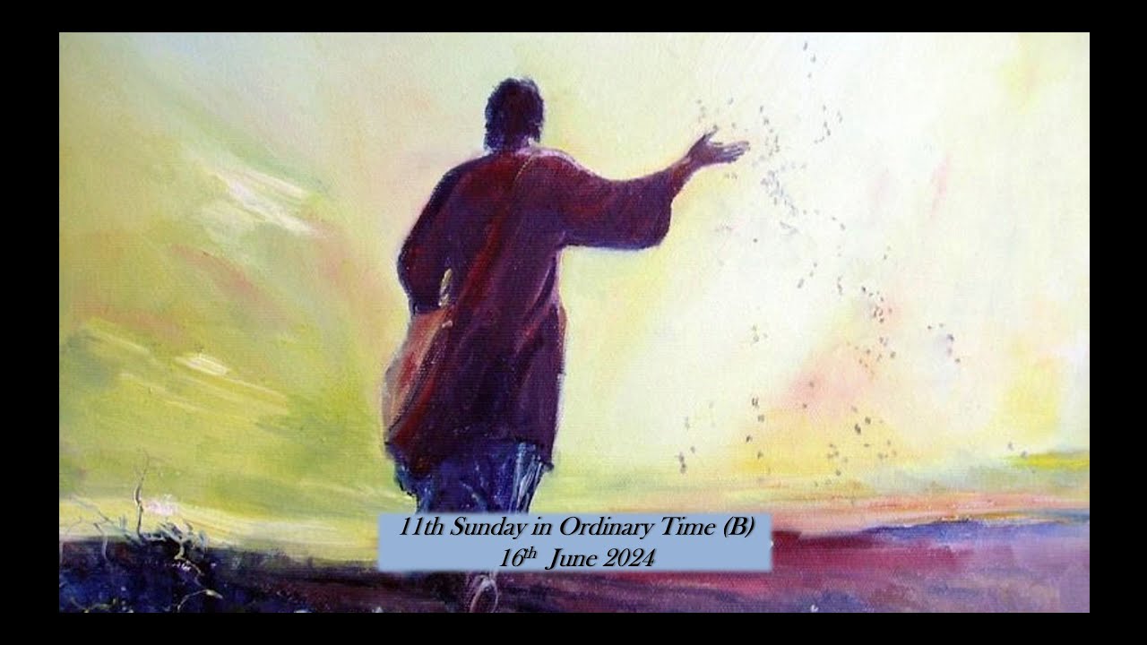 11th Sunday in Ordinary Time B - 16th June 2024 - YouTube