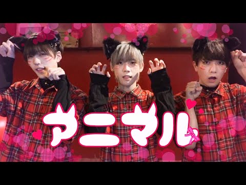 【しまとらげん】アニマル - DECO*27 【踊ってみた】