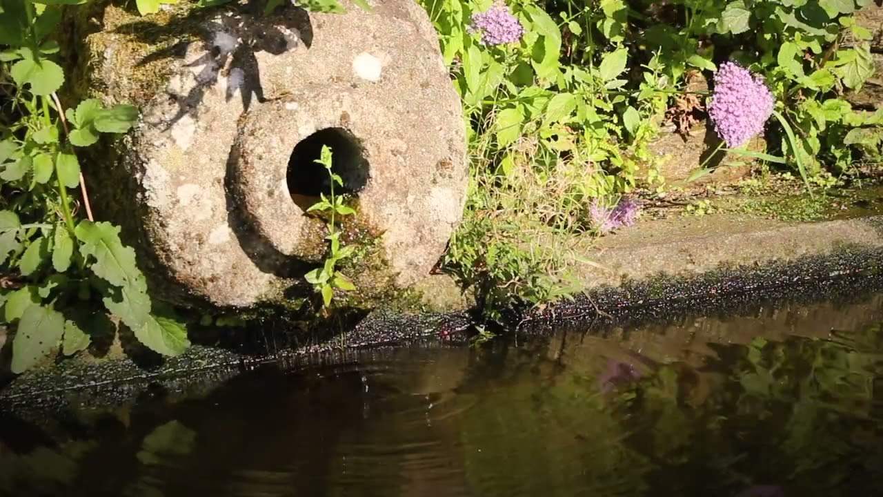 16. Parque de Bonaval (Castellano)