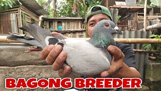 Bagong Breeder Ni Homing, Ang Galing