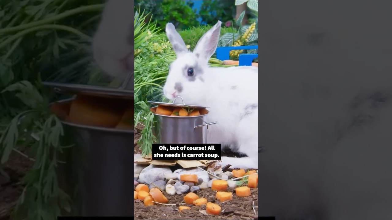 Don't spill the carrot soup, Monsieur LaFleur! 🥕