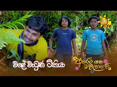 වළේ වැටුණ ටිකියා