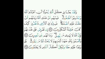 16 - سورة النحل ٣٦-٣٨ - خالد الجليل