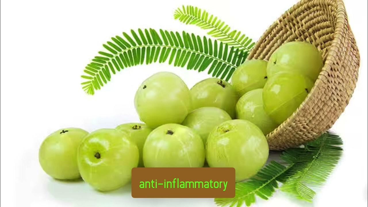 Secrets of Amla Fruit Health Benefits and Nutrition YouTube