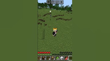Minecraft PE Finally Added the F5 Button on Mobile! #MinecraftPocketEdition"