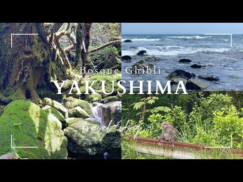 Video: Parque Nacional de Yakushima: la guía completa