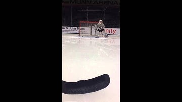 Goaltending Skill of the Month: T Push and Stick Saves