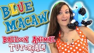 BLUE MACAW PARROT Balloon Animal Tutorial - Learn Balloon Animals with Holly!