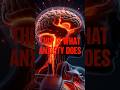 When Anxiety Hits Your Body? 😳 | Inside Your Body #healtheducation #howyourbodyworks