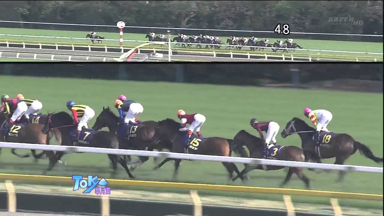 オルフェーヴル】3勝目 2011 皐月賞 - YouTube