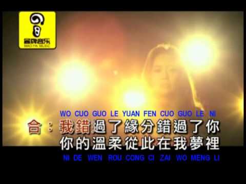 冷漠 - 等风来【动态歌词/Pinyin Lyrics】Leng Mo - Deng Feng Lai