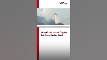Hàn Quốc dốc toàn lực ứng phó thảm họa cháy rừng lịch sử | VTV24