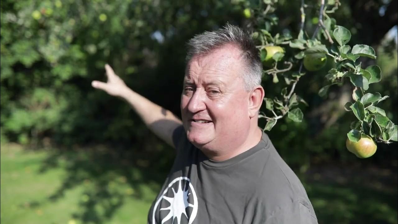 Mark Doyle My Hearing Journey Pt.2 YouTube