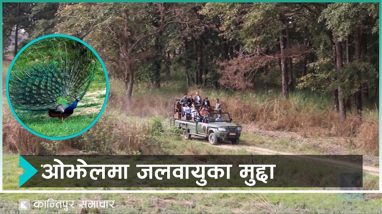 किन समेटिन्न दलका घोषणापत्रमा जलवायु परिवर्तनका मुद्दा ? | Kantipur Samachar