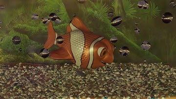 Fish / Aquarium animation in Blender 2.9