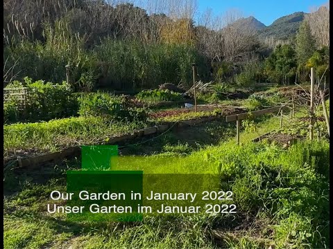 Our Garden in