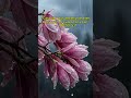 Give Him your heavy thoughts 🌿 #anxietyrelief #worshipmusic #relax #prayermusic