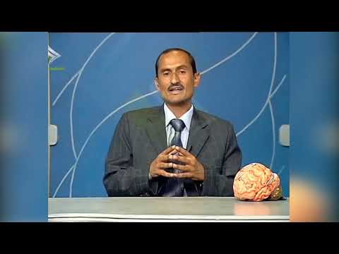 الجهاز العصبي في الإنسان الأحياء الصف الثالث الثانوي الوحدة الأولى مناهج اليمن 