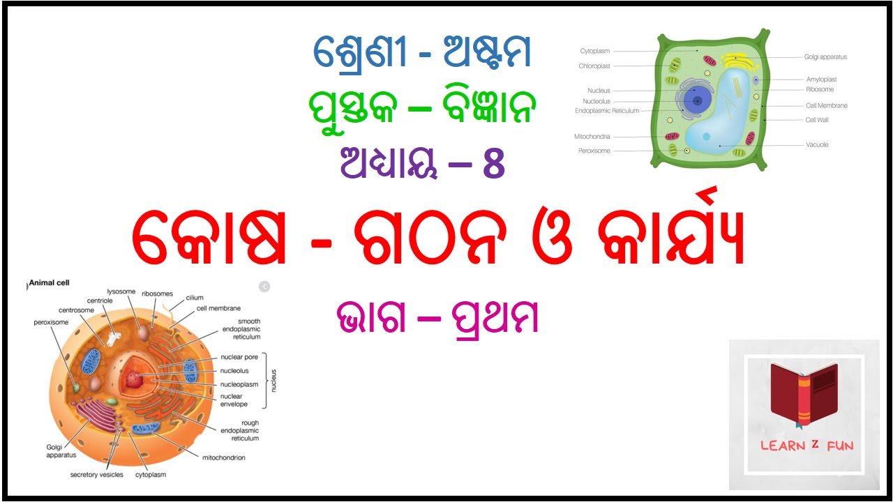Class 8, Cell - Structure and Function, Part 1, Science, Chapter 8 ...