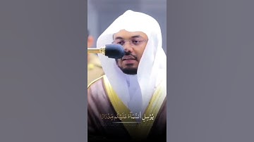 فَقُلْتُ اسْتَغْفِرُوا رَبَّكُمْ إِنَّهُ كَانَ غَفَّارًا - القارئ ياسر الدوسري